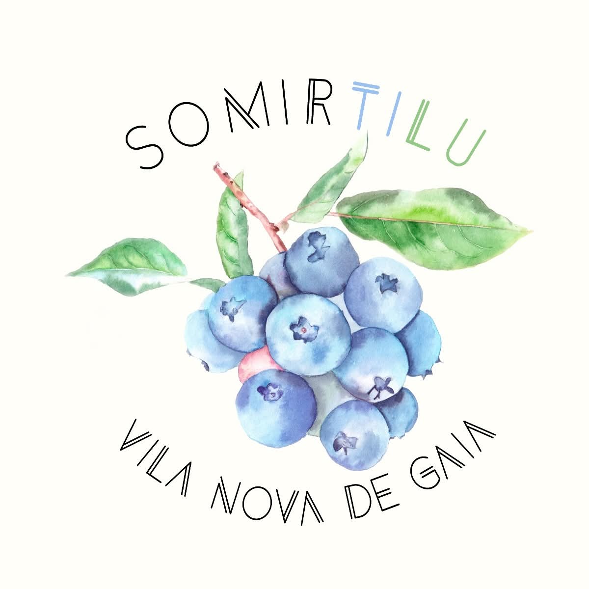 SoMirtilu